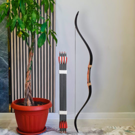 Спортивный лук Black Hunter